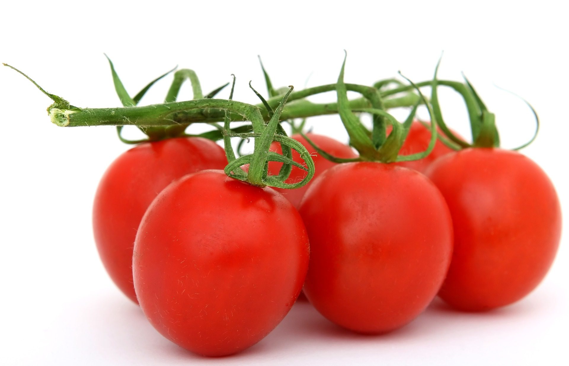 tomate-conheca-os-beneficios-para-sua-saude