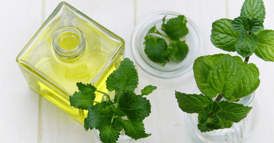 Aromaterapia: O que são óleos essenciais?