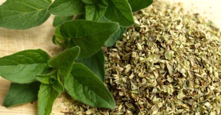 Benefícios para a saúde do chá de orégano